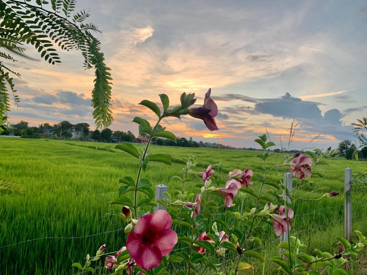 Rang Robin Farmstay With Swimming Pool Ban Wang Muang Luaran gambar